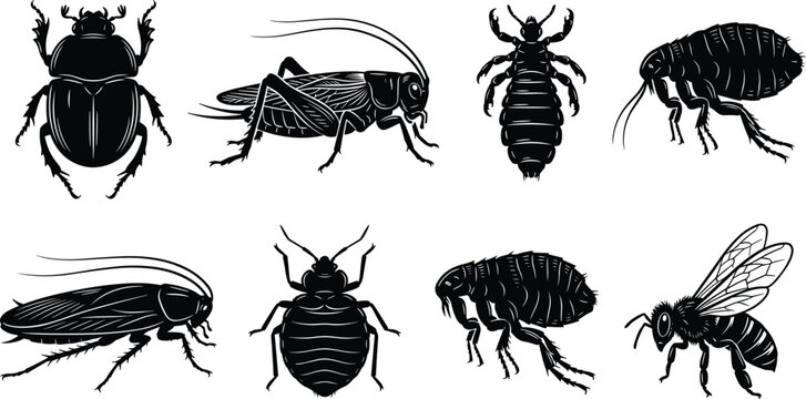 Detailed Insect Silhouette Collection Featuring Beetle, Cricket, Flea, Bee, Cockroach, Bed Bug, and Louse Vector Illustration Set