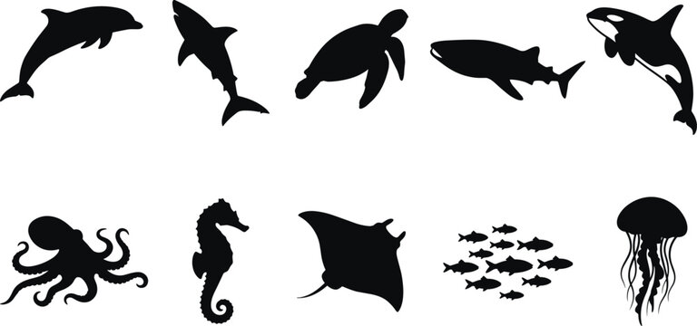 A collection of diverse marine animal silhouettes, including a dolphin, shark, sea turtle, killer whale, octopus, seahorse, manta ray, fish school, and jellyfish