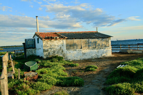 Cabanon Camarguais  Port-Saint-Louis-du-Rh&ocirc;ne