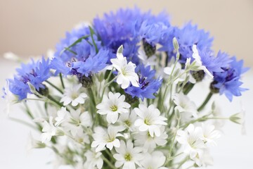 Obraz premium Beautiful wildflowers in jug on white background, closeup