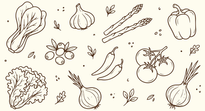 Organic vegetable doodle set with onions tomatoes peppers garlic lettuce and asparagus isolated for cooking nutrition agriculture and healthy lifestyle designs