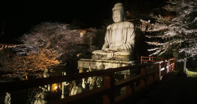 Majestic, large buddha statue surrounded by cherry blossoms at night - steady cam shot