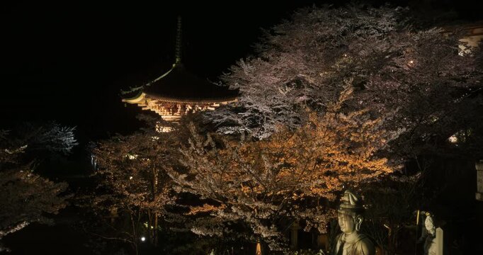 Silhouette of ancient Japanese structures and beautiful cherry blossoms