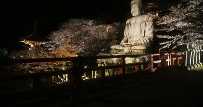 Silhouette of boy walking along fence with view of ancient buddha statue and cherry blossoms - wide shot