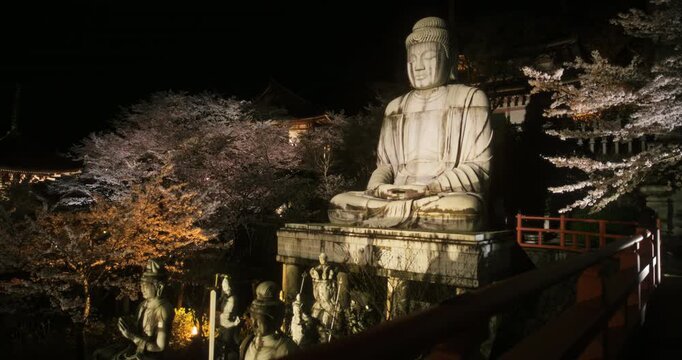 Glowing spotlight on giant, ancient buddha statue surrounded by cherry blossoms - steady cam shot