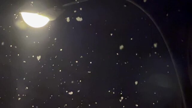 Heavy snowflakes falling under a streetlight at night