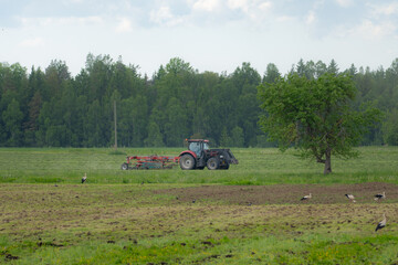 Fototapeta premium Tractor working in green farm field with white storks feeding nearby in rural Latvia