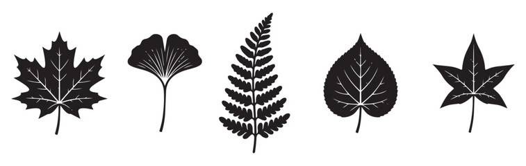 Abstract leaf silhouette icon set with maple ginkgo and fern leaves for nature concept © Abdul