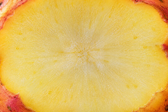Oca tuber half macro yellow Andean root texture