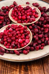 Organic frozen and dried cranberries © nikolaydonetsk