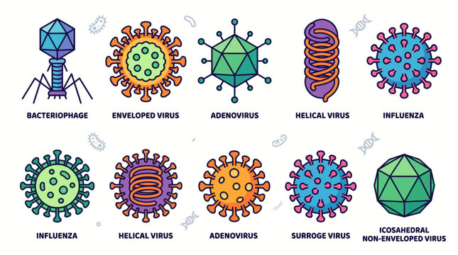 Cartoon Virus Types Collection &ndash; Bacteriophage, Enveloped, Adenovirus, Helical, Influenza, Icosahedral Vector Set