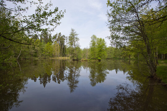 The Hirschteich is historically considered the oldest documented source area of the Altm&uuml;hl River. 