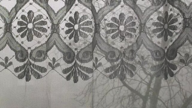 Elegant classic lace curtain, highlighting textile details and texture.