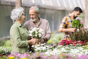 In plant nursery, mature spouses buys and purchase margarita flower decorative plant in pot, visitors to wholesale flower market stand against background of shopping malls with decorative flowering © JackF