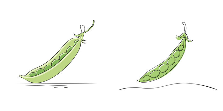 Fresh Green Pea Pods Hand-Drawn Style Illustrations Set