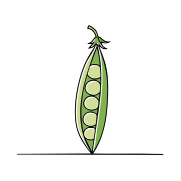 A single green pea pod with five peas sits upright on a thin horizontal line