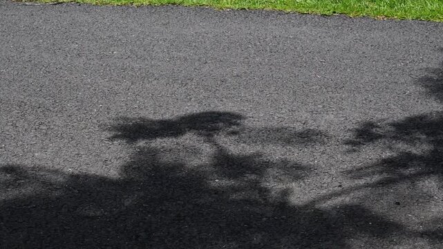 Video en primer plano de una joven atl&eacute;tica caminando con tenis y ropa deportiva casual por el Parque Lineal de Bayam&oacute;n, en Bayam&oacute;n Pueblo, Puerto Rico. La escena representa un estilo de vida activo, 