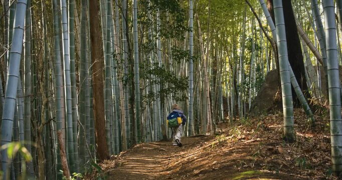 Boy with backpack fast walking up dirt path surrounding by bamboo trees in Japanese park - wide shot