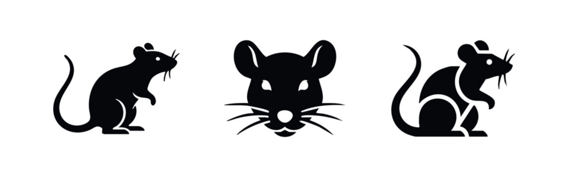 Rat Icons - Rodents and Pests