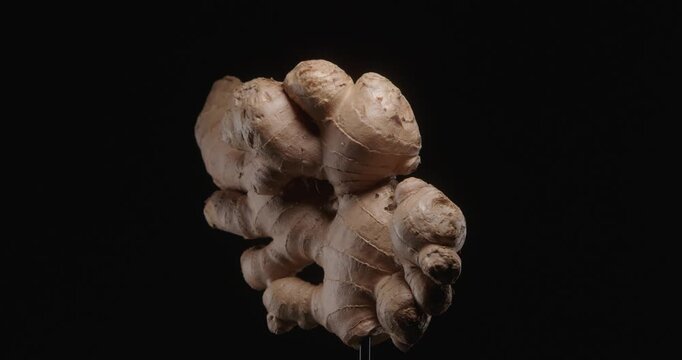 Video of a big ginger root closeup rotating over black background. 4K organic healthy food ingredient footage.