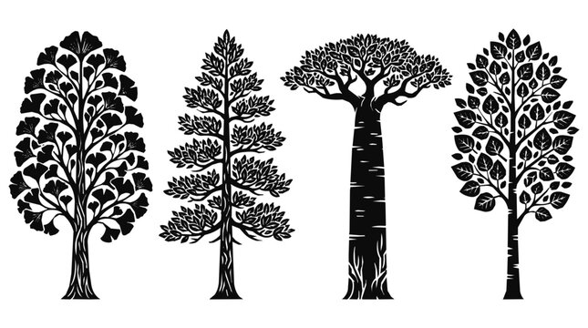 Set of black tree silhouettes and botanical illustrations in woodcut style, a vector design featuring four different trees.