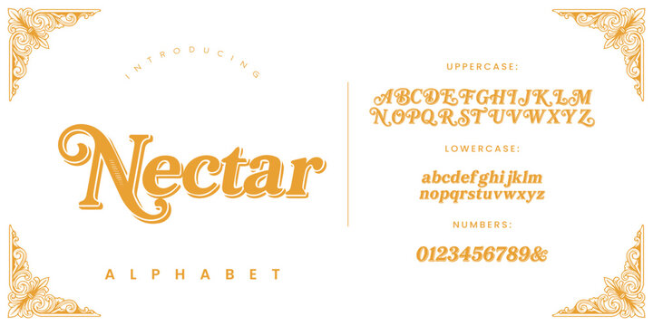Nectar sweet italic script typography font alphabet with elegant floral corner borders