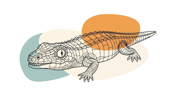 Detailed vector line art illustration of a baby alligator, caiman or crocodile with textured scales and abstract earthy shapes.