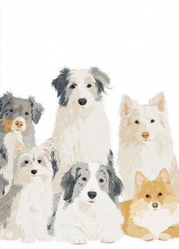Group of various dog breeds together, a collection of pet portraits showing domestic animals on white background