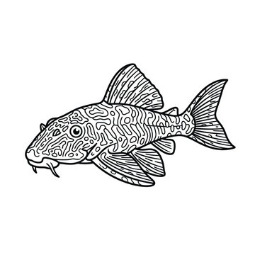 Detailed Ancistrus catfish line art with spotted patterns.