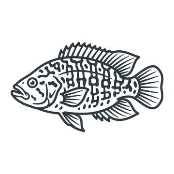 Spotted cichlid fish line art for children's coloring.