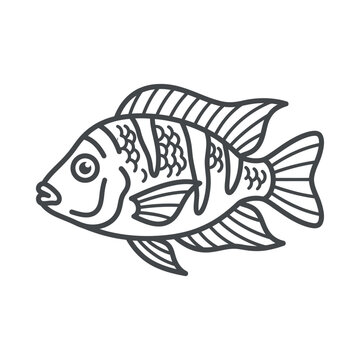 Striped cichlid fish line drawing for coloring activity.