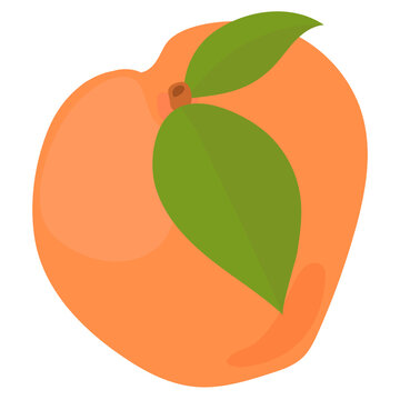 Png colorful peach fruit sticker clipart