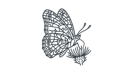 Side view butterfly on flower line art illustration. © ZAHZI