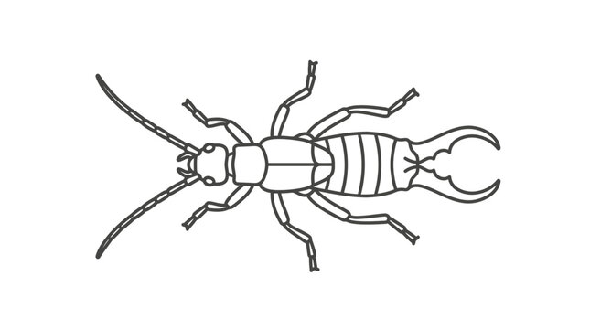Minimalist line art earwig insect with large pincers.
