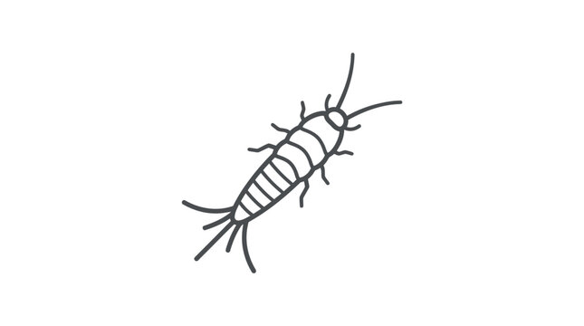 Minimalist line art silverfish bristletail insect illustration.