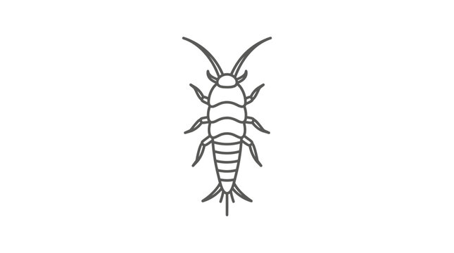 Minimalist top view line art of a silverfish insect.