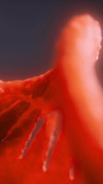 A twisting, flowing red shape that resembles organic matter. The background is dark, creating a contrast that highlights the curves and details of the form.