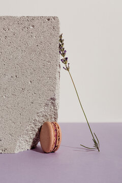 Lavender macarons