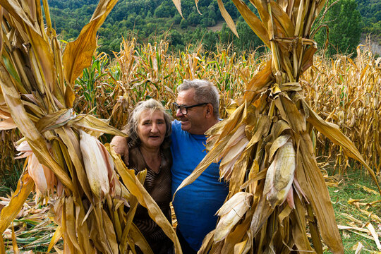 Harvest Couple