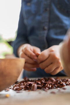 Focused hands peeling cacao shells with care
