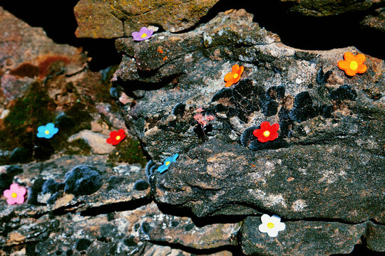 Floral arrangement on stone