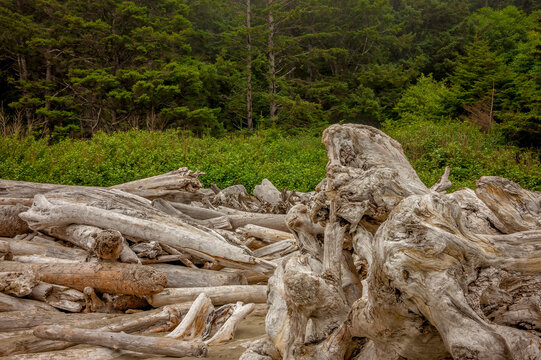 Driftwood piles up on a beach in Washington State