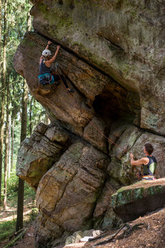 Forest of rocks.