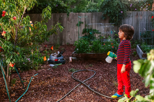 Child Watering Plants Backyard Garden