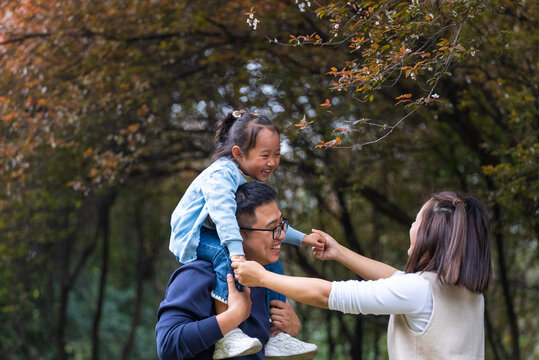 Family Enjoys Time Together Outdoors in the Park With Trees Around