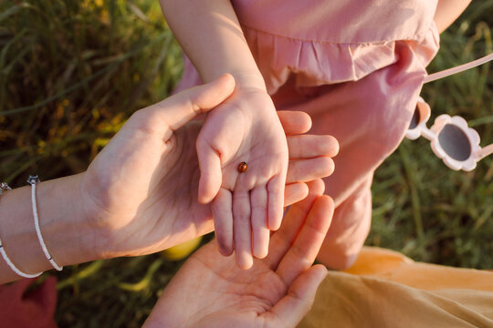A ladybug is sitting on a little girl's palm
