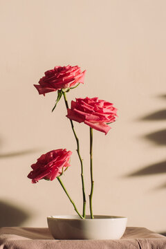 Ikebana with three pink roses