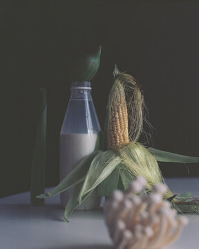 Still life with bottle of milk and fresh corn 