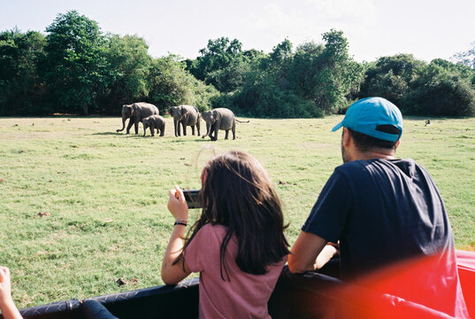 Family Adventure Capturing Safari Memories Together