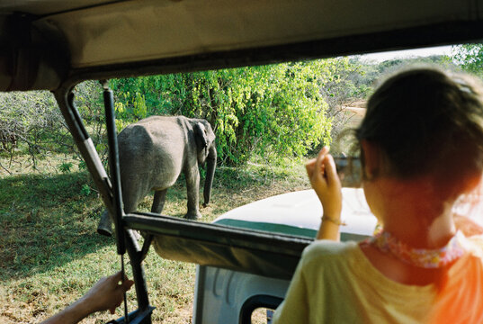 Children Enjoying Elephant Safari Adventure. Travel Sri Lanka